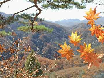 昆明盤龍區(qū)最新動(dòng)態(tài)，數(shù)據(jù)驅(qū)動(dòng)實(shí)施策略進(jìn)展報(bào)告