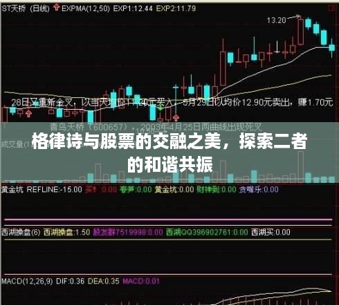 格律詩(shī)與股票的交融之美，探索二者的和諧共振
