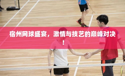 宿州網(wǎng)球盛宴，激情與技藝的巔峰對(duì)決！