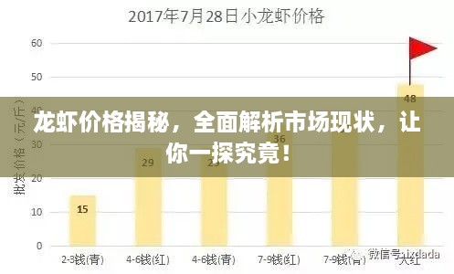 龍蝦價(jià)格揭秘，全面解析市場(chǎng)現(xiàn)狀，讓你一探究竟！