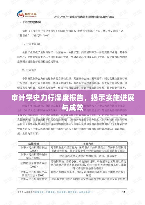 審計(jì)學(xué)史力行深度報告，揭示實(shí)施進(jìn)展與成效