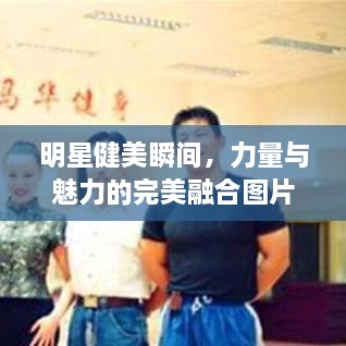 明星健美瞬間，力量與魅力的完美融合圖片展示