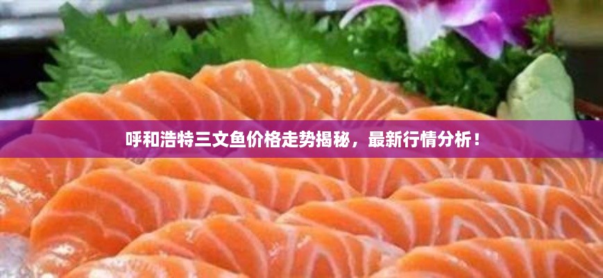 呼和浩特三文魚價格走勢揭秘，最新行情分析！