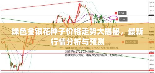 綠色金銀花種子價(jià)格走勢(shì)大揭秘，最新行情分析與預(yù)測(cè)