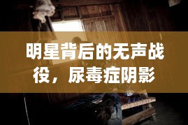 明星背后的無(wú)聲戰(zhàn)役，尿毒癥陰影下的星光挑戰(zhàn)