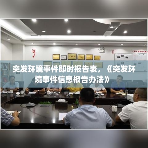 突發(fā)環(huán)境事件即時(shí)報(bào)告表，《突發(fā)環(huán)境事件信息報(bào)告辦法》 
