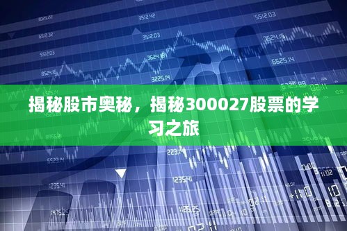揭秘股市奧秘，揭秘300027股票的學(xué)習(xí)之旅