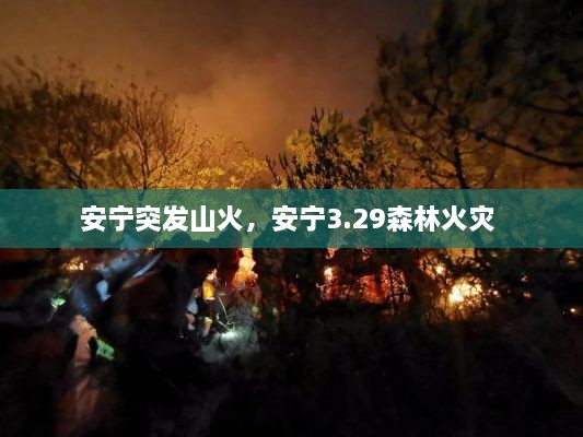 安寧突發(fā)山火，安寧3.29森林火災 