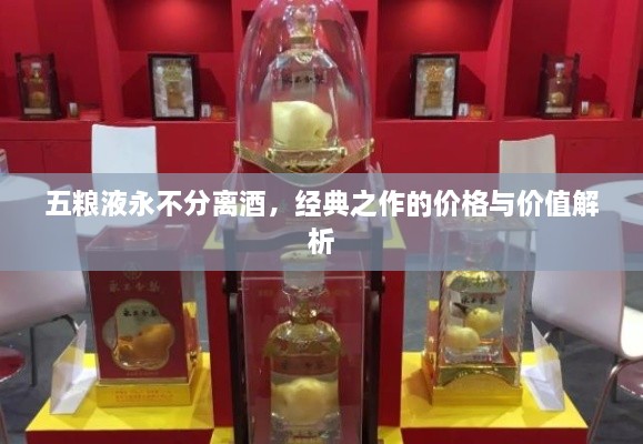 五糧液永不分離酒，經(jīng)典之作的價(jià)格與價(jià)值解析