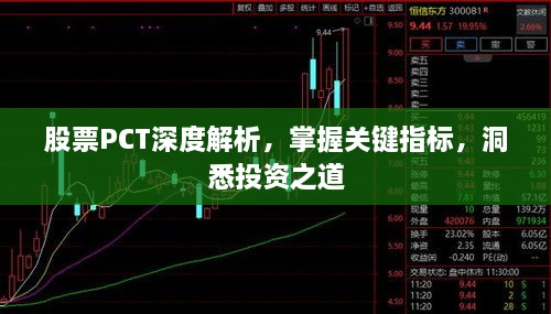 股票PCT深度解析，掌握關(guān)鍵指標(biāo)，洞悉投資之道