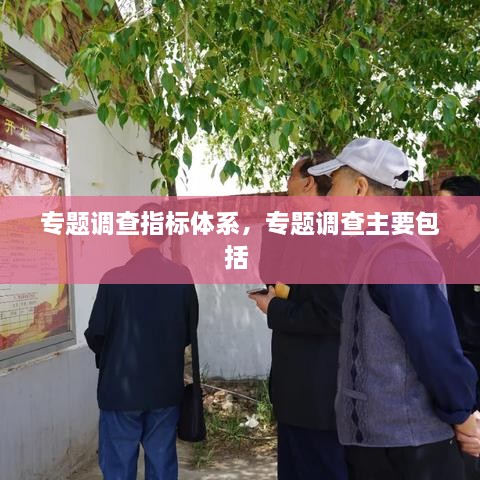 專題調(diào)查指標(biāo)體系，專題調(diào)查主要包括 