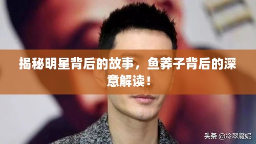 揭秘明星背后的故事，魚莽子背后的深意解讀！