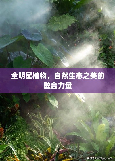 全明星植物，自然生態(tài)之美的融合力量