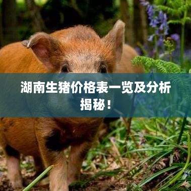 湖南生豬價格表一覽及分析揭秘！