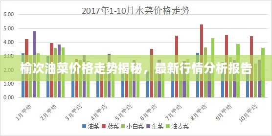 榆次油菜價(jià)格走勢(shì)揭秘，最新行情分析報(bào)告