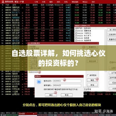 自選股票詳解，如何挑選心儀的投資標(biāo)的？