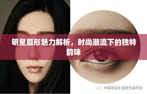 明星眉形魅力解析，時尚潮流下的獨特韻味