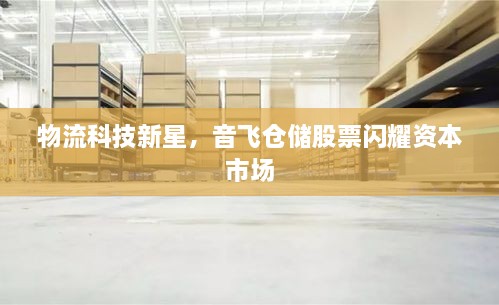 物流科技新星，音飛倉(cāng)儲(chǔ)股票閃耀資本市場(chǎng)
