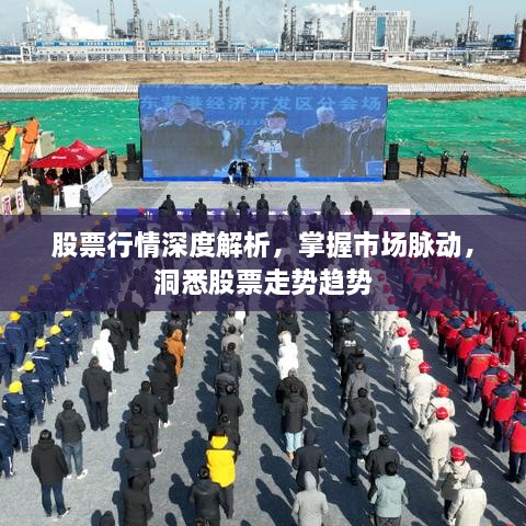 股票行情深度解析，掌握市場(chǎng)脈動(dòng)，洞悉股票走勢(shì)趨勢(shì)