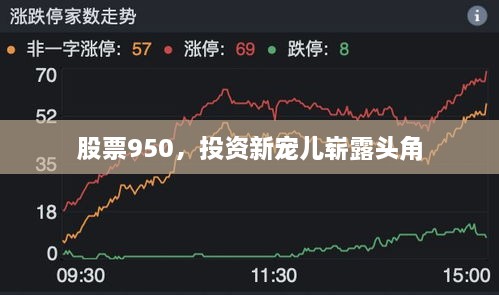 股票950，投資新寵兒嶄露頭角