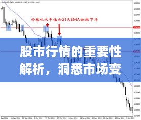 股市行情的重要性解析，洞悉市場變化的關(guān)鍵所在！