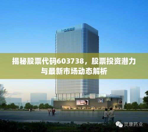 揭秘股票代碼603738，股票投資潛力與最新市場動態(tài)解析