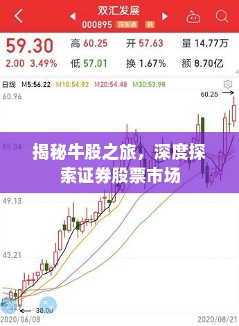 揭秘牛股之旅，深度探索證券股票市場