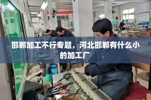 邯鄲加工不行專題，河北邯鄲有什么小的加工廠 