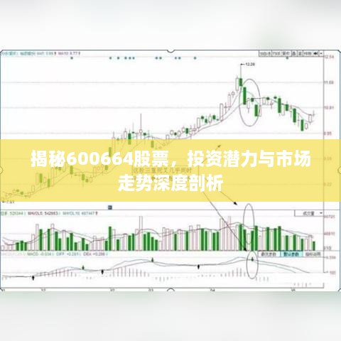 揭秘600664股票，投資潛力與市場(chǎng)走勢(shì)深度剖析