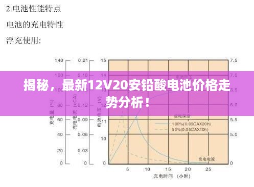 揭秘，最新12V20安鉛酸電池價(jià)格走勢(shì)分析！
