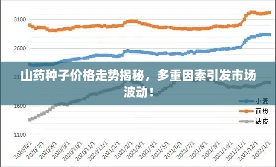 山藥種子價格走勢揭秘，多重因素引發(fā)市場波動！