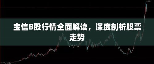 寶信B股行情全面解讀，深度剖析股票走勢