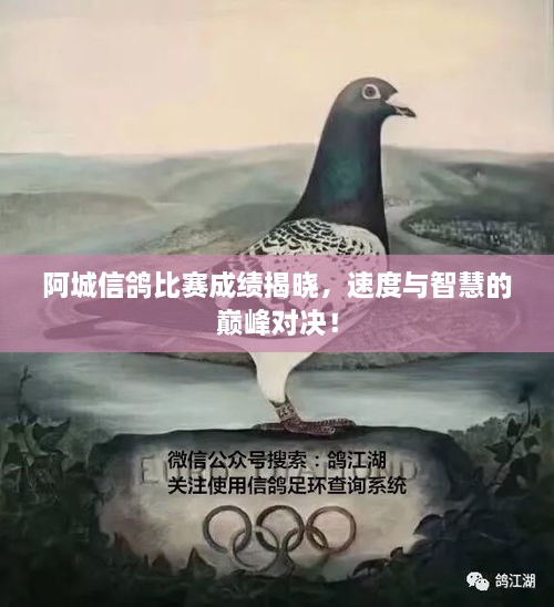 阿城信鴿比賽成績揭曉，速度與智慧的巔峰對決！