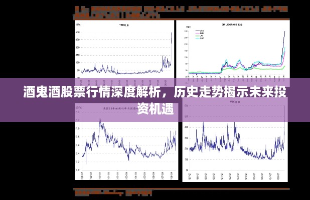酒鬼酒股票行情深度解析，歷史走勢揭示未來投資機(jī)遇