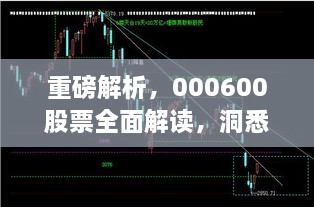 重磅解析，000600股票全面解讀，洞悉投資趨勢(shì)！