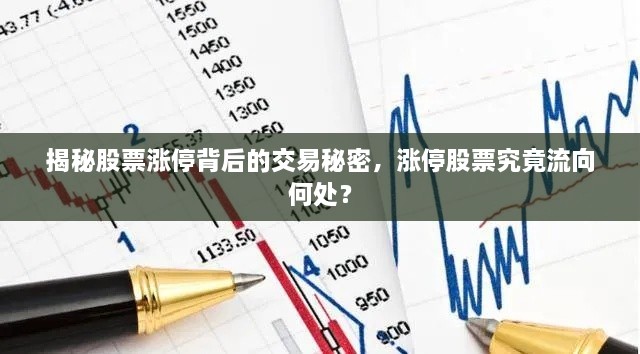 揭秘股票漲停背后的交易秘密，漲停股票究竟流向何處？