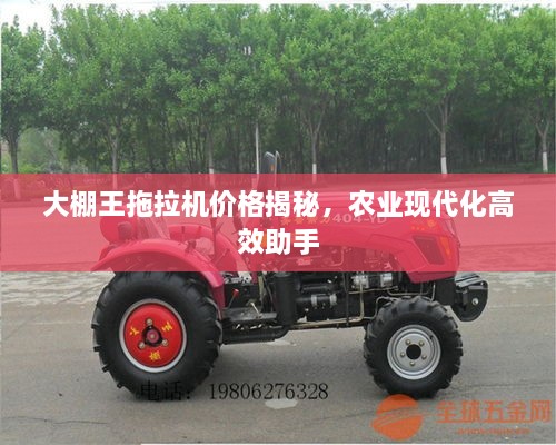 大棚王拖拉機價格揭秘，農(nóng)業(yè)現(xiàn)代化高效助手