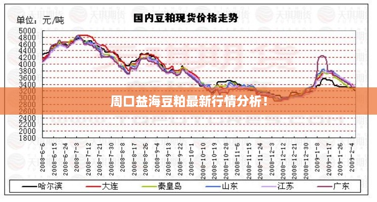 周口益海豆粕最新行情分析！