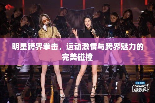 明星跨界拳擊，運(yùn)動(dòng)激情與跨界魅力的完美碰撞