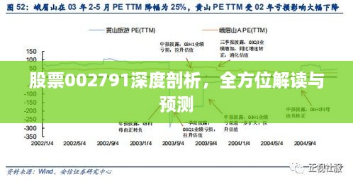 股票002791深度剖析，全方位解讀與預(yù)測(cè)