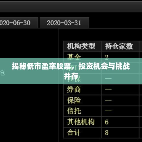 揭秘低市盈率股票，投資機會與挑戰(zhàn)并存