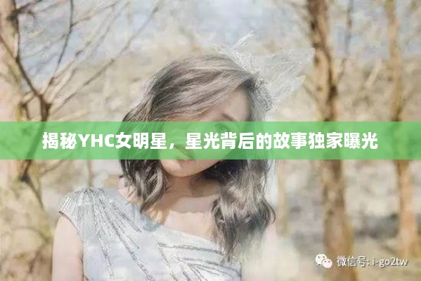 揭秘YHC女明星，星光背后的故事獨家曝光