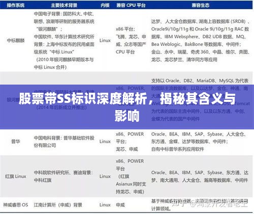 股票帶SS標(biāo)識(shí)深度解析，揭秘其含義與影響