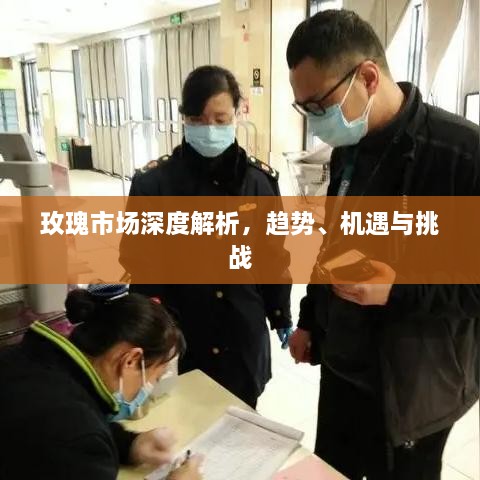 玫瑰市場深度解析，趨勢、機(jī)遇與挑戰(zhàn)