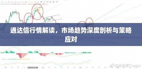 通達(dá)信行情解讀，市場(chǎng)趨勢(shì)深度剖析與策略應(yīng)對(duì)