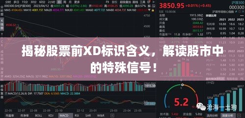 揭秘股票前XD標(biāo)識(shí)含義，解讀股市中的特殊信號(hào)！