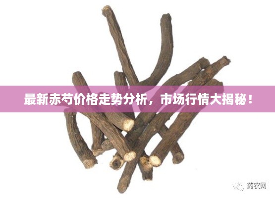 最新赤芍價格走勢分析，市場行情大揭秘！