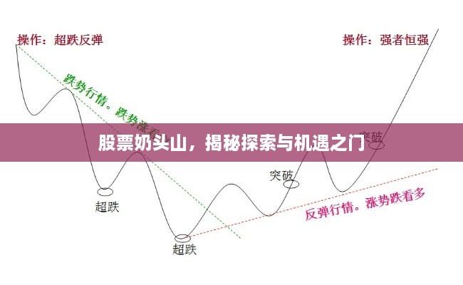 股票奶頭山，揭秘探索與機遇之門