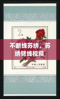 不斷線蘇繡，蘇繡劈線視頻 