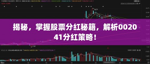 揭秘，掌握股票分紅秘籍，解析002041分紅策略！